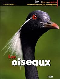 Les  oiseaux