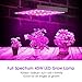 LED Grow Light, 45W Grow Lamp Kit with Full Spectrum High Efficiency LED Chips UV IR Red Blue Flowering Growing Light for Indoor Hydroponic Greenhouse Vegetable Veg and Flowers from Seeding to Harvest