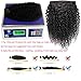 Jiarosi 3C 4A Kinky Curly Clip In Hair Extensions for Black Women, Jiarosi Afro Kinky Curly Clip Ins Human Hair 8A Brazilian Remy Hair Lace weft 7 Pcs With 24 Clips 120 Gram 12 Inch