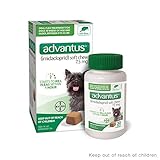 ADVANTUS CORPORATION Advantus Flea Soft Chews for Small Dogs 4-22lbs, 30 count, 30 CT