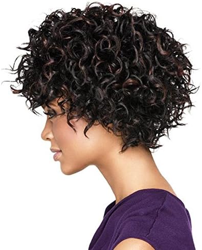 OOARGE Women Wigs Short Kinky Curly Wig Real Human Hair Afro Curly Wigs Natural