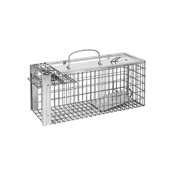 Defenders-VIC0068-Rat-and-Squirrel-Cage-Trap-Humane-Easy-to-Bait-and-Set-Long-Lasting-Galvanised-Mesh-Silver Defenders Rat and Squirrel Cage Trap (Humane, Easy to Bait and Set, Long-Lasting Galvanised Mesh), Silver, STV088, One…