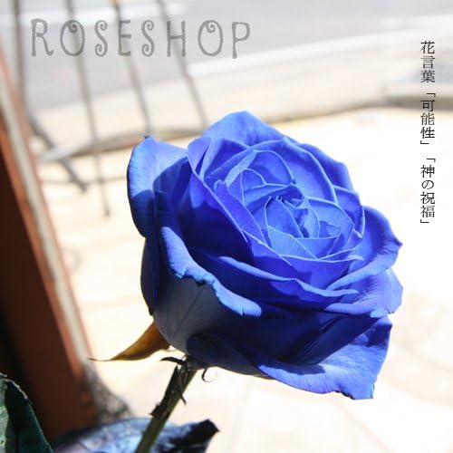 Amazon 青いバラ ブルーローズ 青ばら30本とキラキラ白いかすみ草の花束 花束 オンライン通販