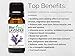 BioFinest Lavender Oil - 100% Pure Lavender Essential Oil - Therapeutic Grade - Bulgaria Premium Quality - Best For Aromatherapy, Diffuser, Massage, Anxiety & Stress Relief - FREE E-Book (10ml)