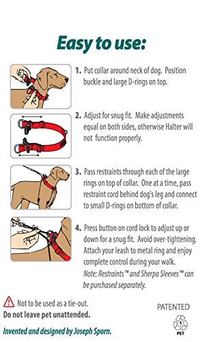 SPORN Dog Halter, Blue, Large