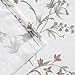 Zenna Home Dragonfly Garden Semi Sheer Fabric Shower Curtain, 70 x 72 Inches, Multi