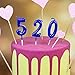 NEWCANDLE Blue Birthday Candles 1 Candle 1st One Year Cake Bady Roman Numberal Cool Number Candle No 10 11 12 13 14 15 16 17 18 19
