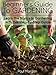 Beginners Guide To Gardening: Learn The Basics In Gardening With This Step-By-Step guide