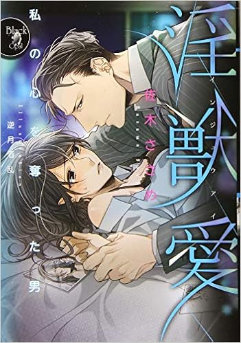 淫獣愛 私の心を奪った男 オパール文庫 ささめ 佐木 本 通販 Amazon