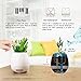 Okearin F1 Bluetooth Speakers Night Light Breathing Light Music Flower Pots Smart Plant Pots Play Music by Touching Plants Rechargeable Indoor Outdoor Office Home Decor Festivel Gift (White No Plant)