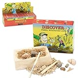 GeoCentral Fossil Excavation Dig Kit