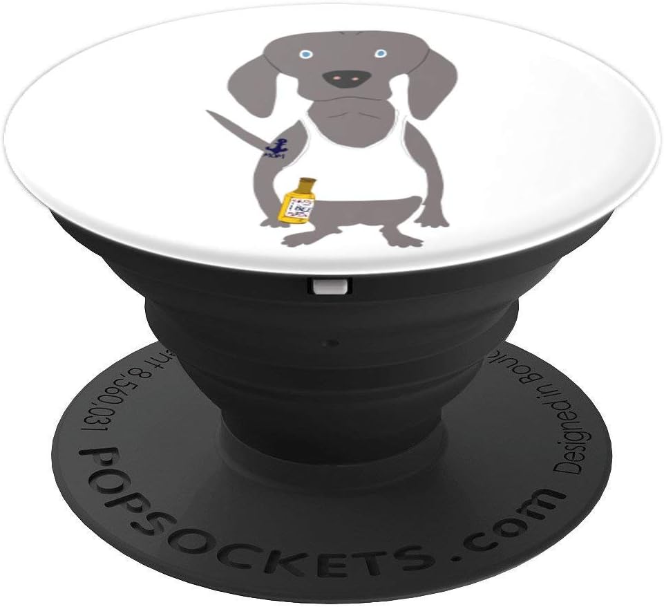 Weim USA Grey Ghost Weimaraner Dog