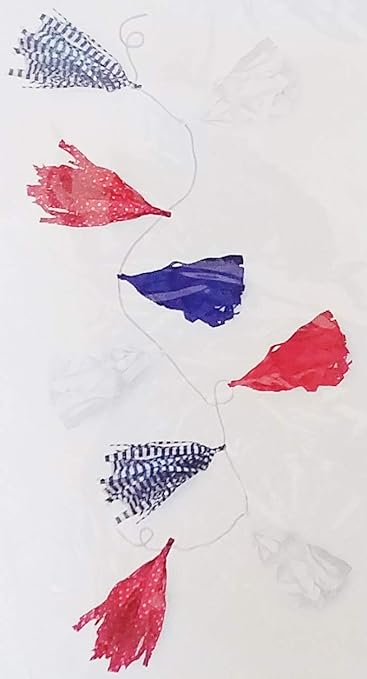 Amazon Com Red White Blue Patterned Stylish Patriotic Tissue
