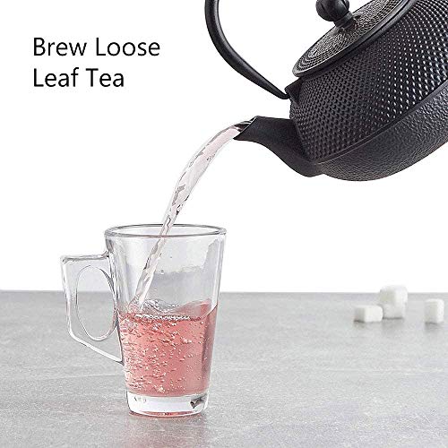 Hwagui Tea Kettle, Japanese Cast Iron Teapot, Tea Pot with Infuser for