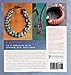 Bohemian-Inspired Jewelry: 50 Designs Using Leather, Ribbon, and Cords