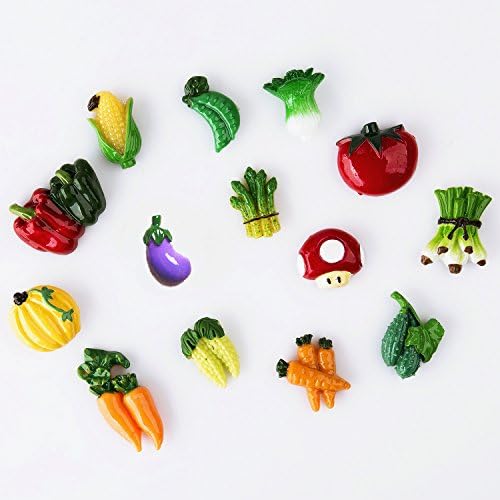 Pack of 14 Vegetables Fridge Magnet Carrot Asparagus Chili Refrigerator Magnet Sticker Home Decoration Children Green Food Organic Early Education Mini Size 2-3cm