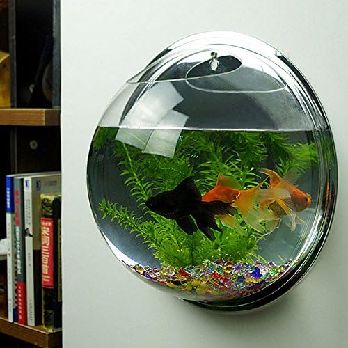 Home Decoration Pot Plant Wall Mounted Hanging Bubble Bowl Fish Tank Aquarium "Mirror 29.5cm"Set43