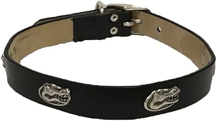 florida gators dog collar
