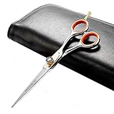 Japanese Professional Hair Cutting Shears,Barber