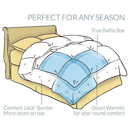 Pacific Coast Feather Company 67788 Medium Warmth Down Comforter, Cotton Cover, Hypoallergenic, Twin - Thumbnail 2