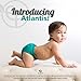 Kanga Care Ecoposh OBV Reusable Pull Up Toddler Underwear Potty Training Pants | Atlantis Medium 2T/3T
