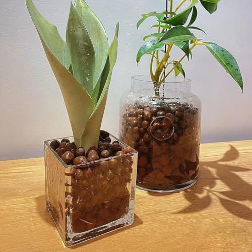 Clay Pebbles for Plants, 8mm-14mm Expanded LECA Balls Plant Garden Soil, Hydroponic, Aquaponics, Natural Leca Balls for Soil Root Development, Orchid Potting Mix, 2.2 Ib