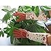 Leather Rose Pruning Gardening Gloves Puncture Resistant Yard Work Gloves Thorn Proof Garden Gloves for Blackberry Plants Rose Bush For Unisex Men & Women Gardener (#A)