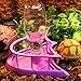 DDS5391 Reptile Automatic Drinker Terrarium Feeding Bowl Food Water Dish Small Pet Breeding Drinking Basin 3#thumb 3