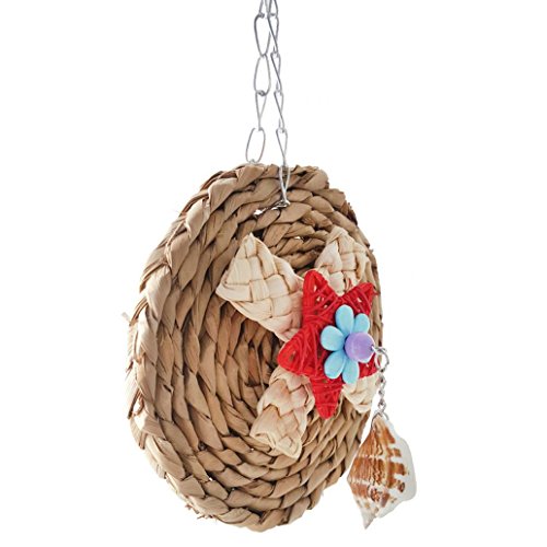 Afco Corn Weaving Shell Dangle Pet Parrot Bird Cage Hanging Decor Round Chew Toy Brain Game Training Tool size 15cm x 24cm