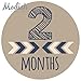 Modish Labels, 12 Monthly Baby Stickers, Baby Month Stickers Boy, Tribal, Arrows, Chevron, Baby Book Keepsake, Baby Shower Gift
