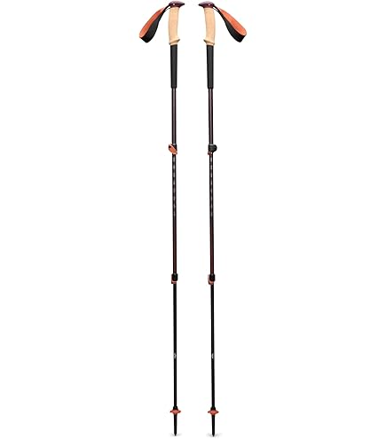 Amazon.com : LEKI Nordic Walking Ultra ALU Carbon HTS 6.0 Series
