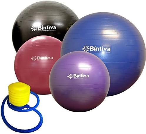 - Exercise Ball