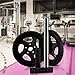 Utopia Fitness Ab Wheel & Roller - Core & Abdominal Trainer - Portable and Double Wheel Carver for Strengthening & Shaping Arms, Abs, Shoulders, Back