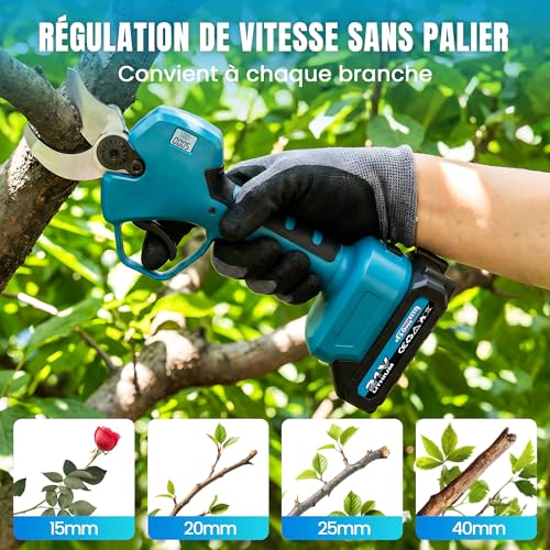 2 in 1 Electric Secateur with Pole, 40 mm Cordless Telescopic Electric Pruner with 2 x 3000 mAh Battery, Extension Up to 4.5 m, for Pruning Trees and Shrubs