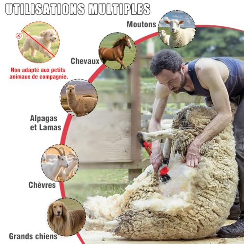 1000 W Electric Sheep Trimmer Machine with 6 Adjustable Speeds Professional Shearing Machine for Pets Wool Goat with Carry Case (Red)