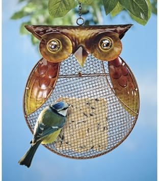 Amazon Com Owl Bird Feeder Garden Outdoor