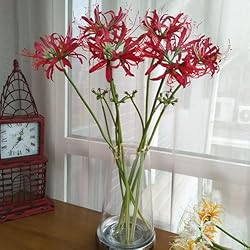 XIZHI 5 Stems Artificial Spider Lily Flowers 23.6