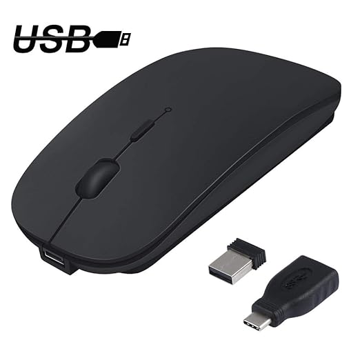Parsion Mouse Wireless Mäuse Kabellose Maus, Wireless Mouse, 2.4G PC Maus, Wiederaufladbar Mäuse mit USB Nano Empfänger für P