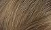 Naturtint 7N Hazelnut Blonde Permanent Hair Color (Pack of 6), Ammonia Free, Vegan, Cruelty Free, up to 100% Gray Coverage, Long Lasting Results (Packaging may vary)