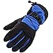 Simplicity Men's Winter Warm Ski Snowboarding Winter Gloves w/Elastic Wrist Cuffs, 3578_Blue Black