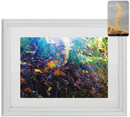 Amazon Co Jp 秋元隆良 金龍カード特典付 2l版 玉響 レインボーオーブ出現 ホーム キッチン