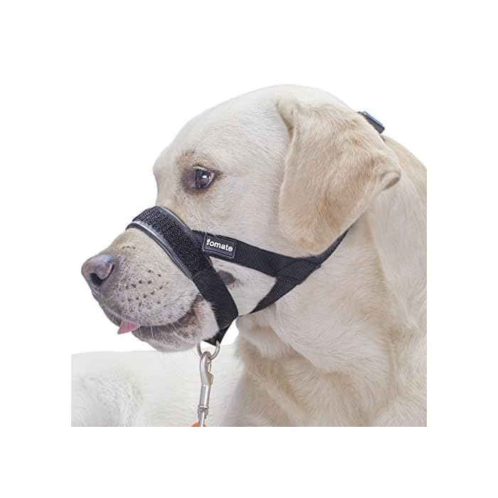 Buy Quick fit adjustable dog muzzle leader, stop pulling walk heel