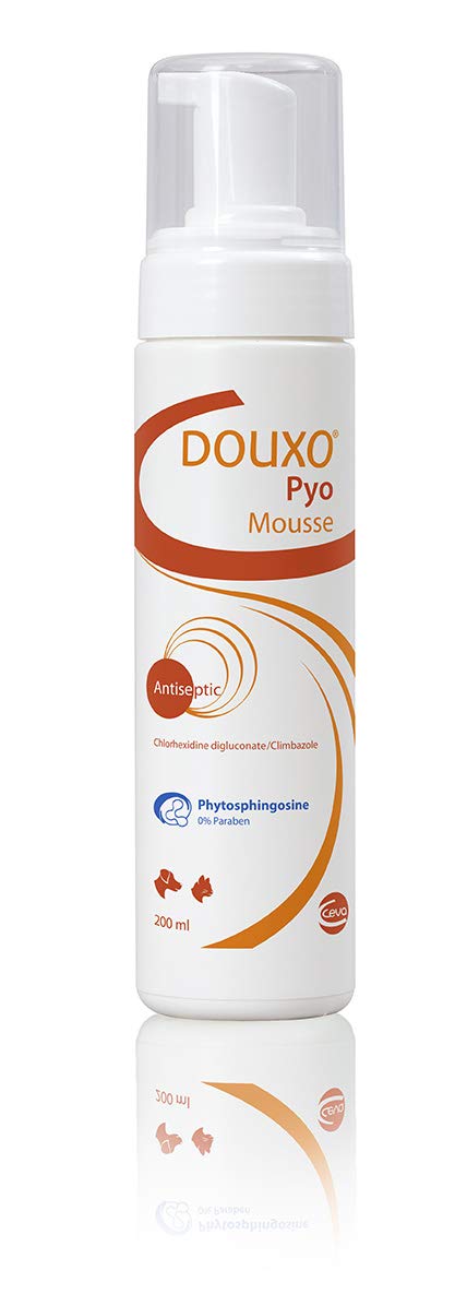 Douxo Pyo Mousse, vet recommended antibacterial/antifungal dog/cat dry shampoo 200ml