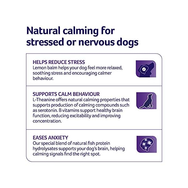 Lintbells-YuCALM-Dog-Calming-Supplement-for-Dogs-who-are-Stressed-or-Nervous-All-Ages-and-Breeds-60-Tablets YuMOVE Calming Care for Adult Dogs | Previously YuCALM Dog | Calming Supplement for Dogs who are Stressed or Nervous |60…