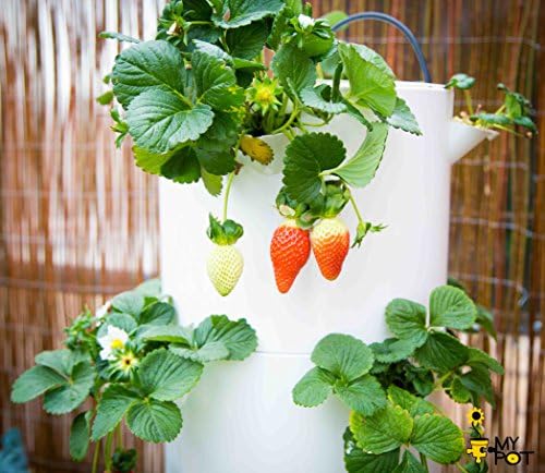 MODELO TORRE - MyPot - HUERTO VERTICAL HIDROPÓNICO AUTOMÁTICO ...