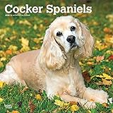 Cocker Spaniels 2020 12 x 12 Inch Monthly Square Wall Calendar, Animals Mixed Dog Breeds (English, F by
