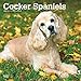 Cocker Spaniels 2020 12 x 12 Inch Monthly Square Wall Calendar, Animals Mixed Dog Breeds (English, F by