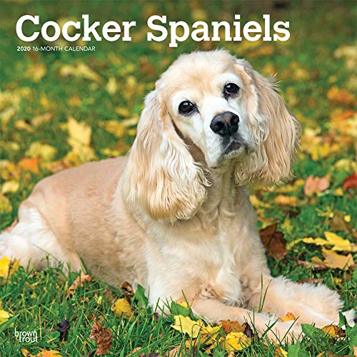 Cocker Spaniels 2020 12 x 12 Inch Monthly Square Wall Calendar, Animals Mixed Dog Breeds (English, F by 