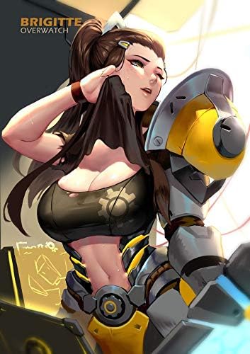 JinJing Prints Overwatch Brigitte 24inch x 34inch Customized Silk Print Poster | Silk Wallpaper | Silk Printing