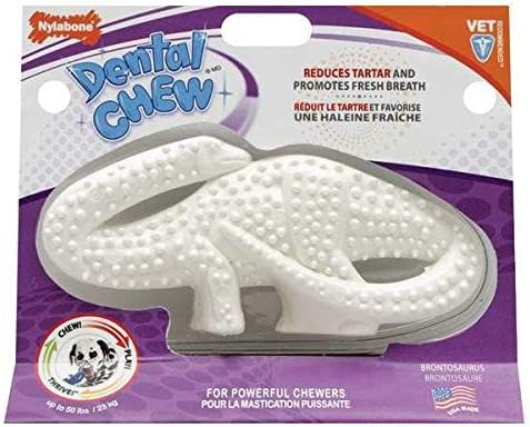 nylabone durable dental dinosaur
